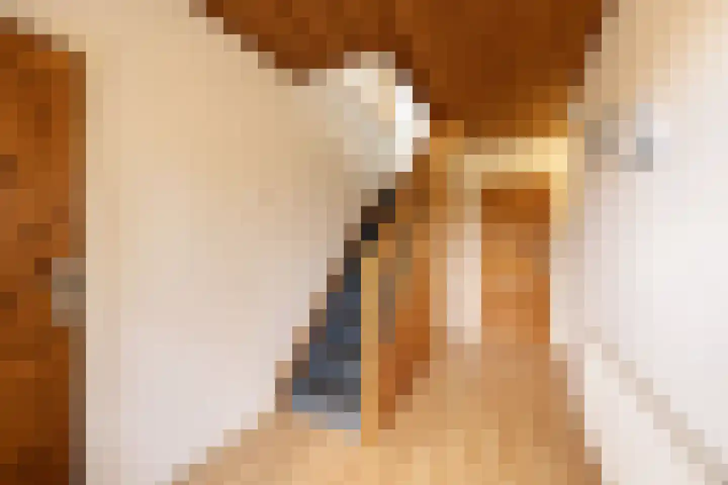 Cobra 52 Dronten thumbnail 31