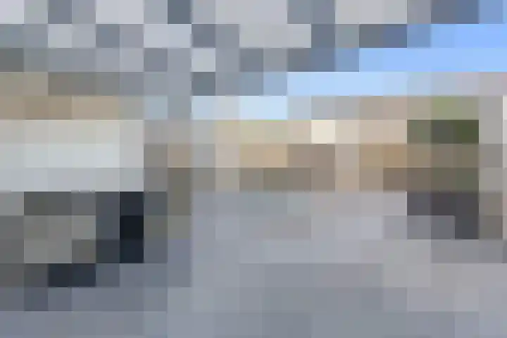 Cobra 52 Dronten thumbnail 32