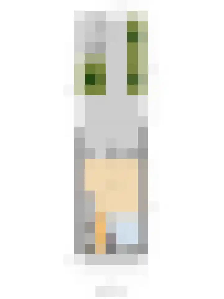 Cobra 52 Dronten thumbnail 42