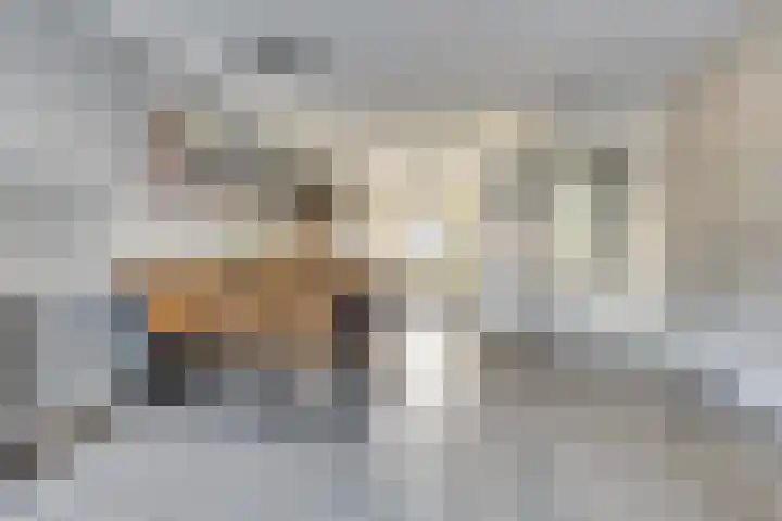 Cobra 52 Dronten thumbnail 8