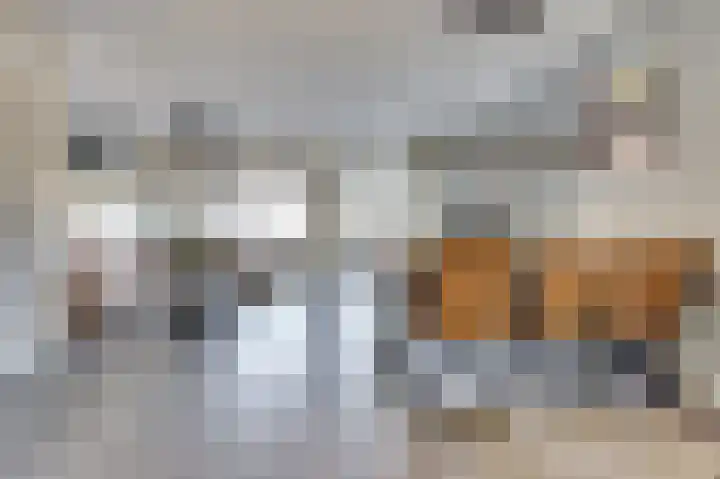 Cobra 52 Dronten thumbnail 9