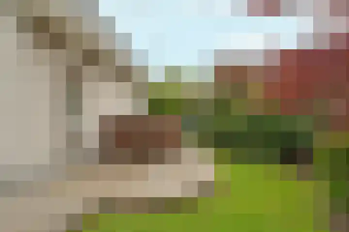 Cobrastraat 23 Almere thumbnail 48