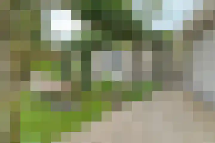 Cobrastraat 23 Almere thumbnail 53