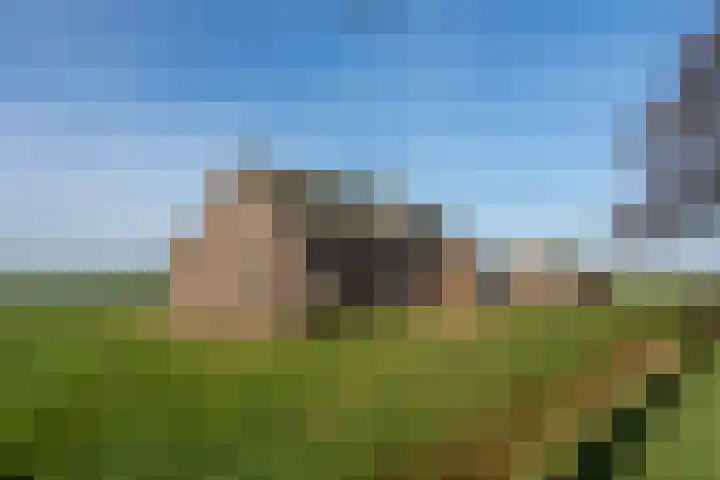 Coehoorn 2 Orvelte thumbnail 16