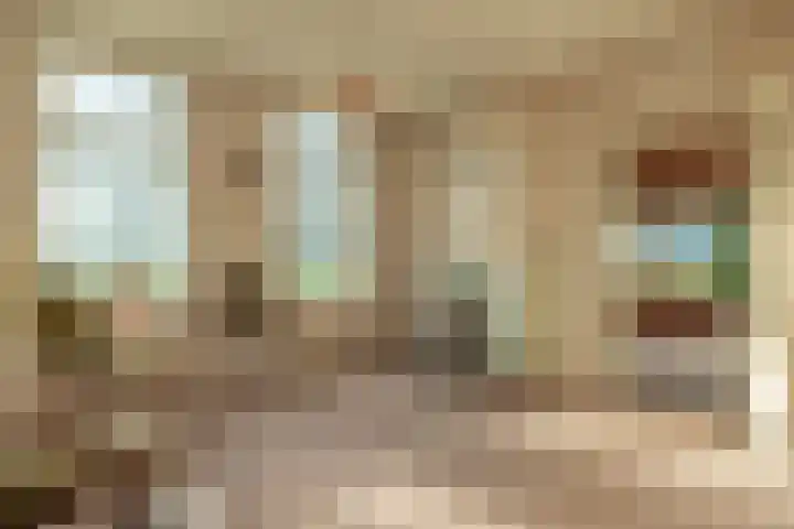 Coehoorn 2 Orvelte thumbnail 21