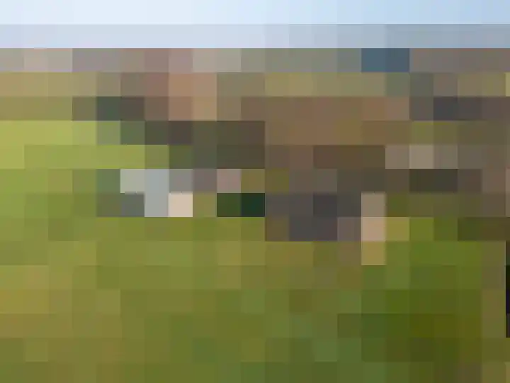 Coehoorn 2 Orvelte thumbnail 25