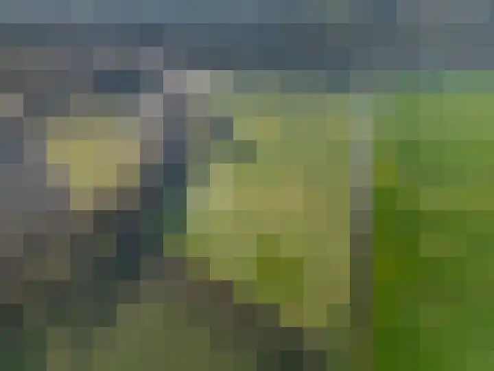 Coehoorn 2 Orvelte thumbnail 5