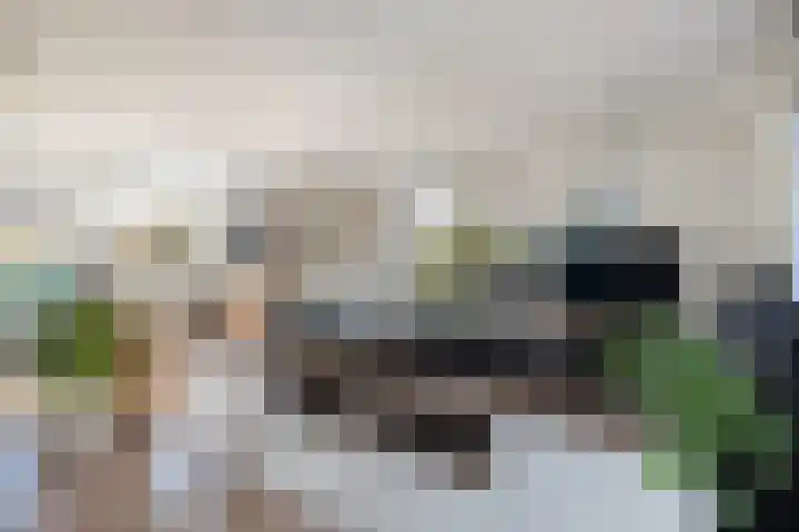 Coelhorst 20 Vleuten thumbnail 16