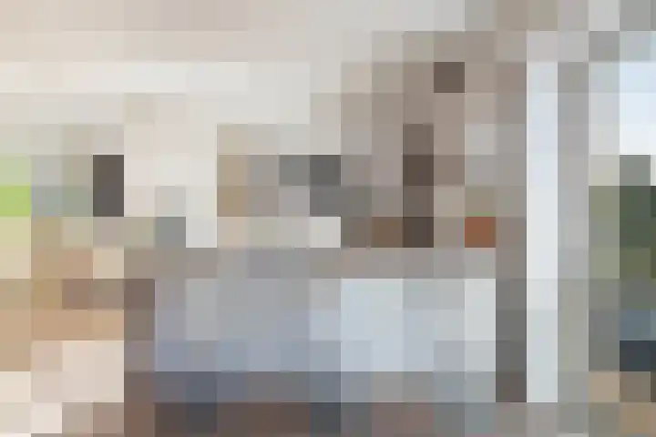 Coelhorst 20 Vleuten thumbnail 22