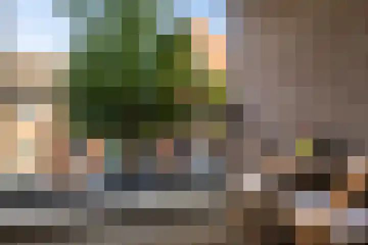 Coelhorst 20 Vleuten thumbnail 29