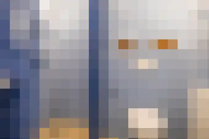 Coelhorst 20 Vleuten thumbnail 39