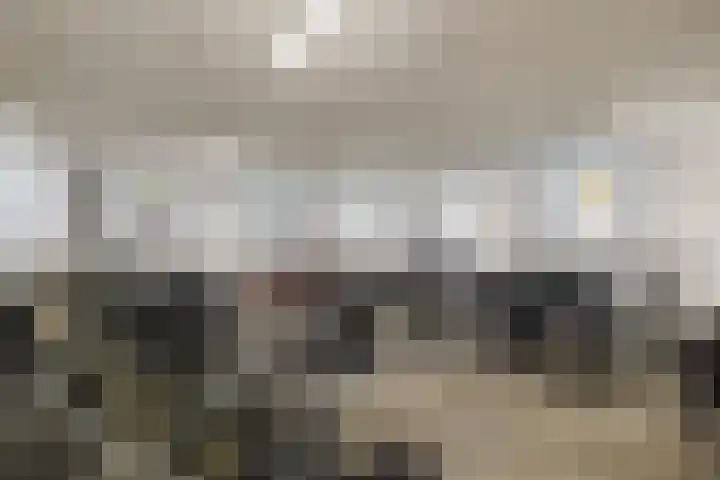 Coelhorst 20 Vleuten thumbnail 40