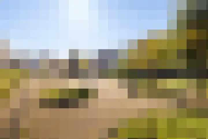 Coelhorst 20 Vleuten thumbnail 41