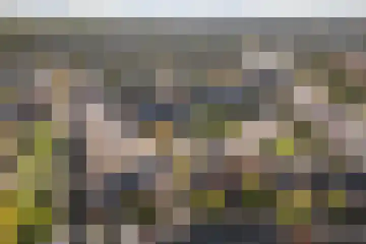 Coelhorst 20 Vleuten thumbnail 46