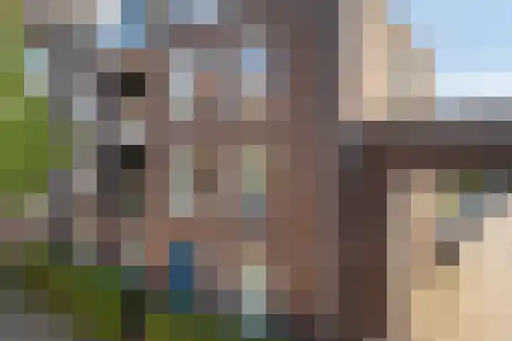 Coelhorst 20 Vleuten thumbnail 49