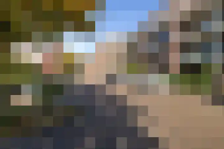 Coelhorst 20 Vleuten thumbnail 6