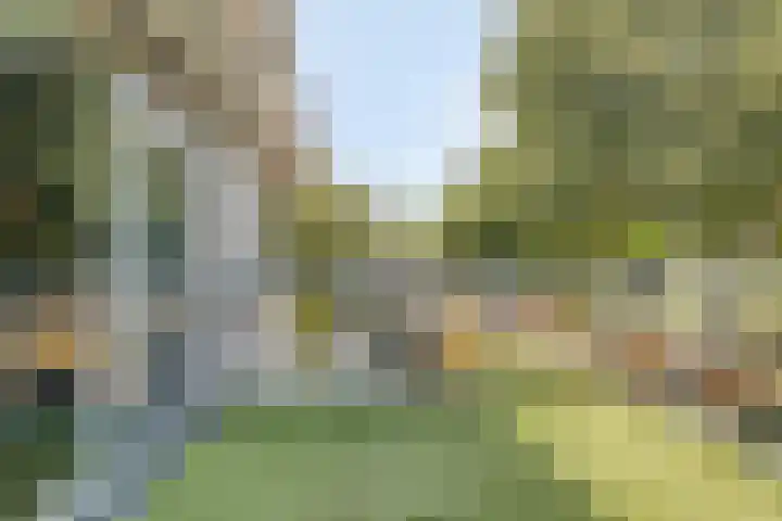 Coendersborgstraat 37 Almere thumbnail 23