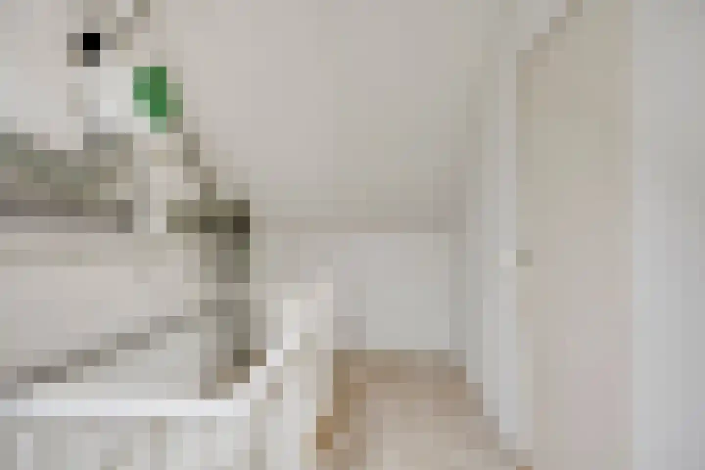 Coevordenpad 9 Arnhem thumbnail 32