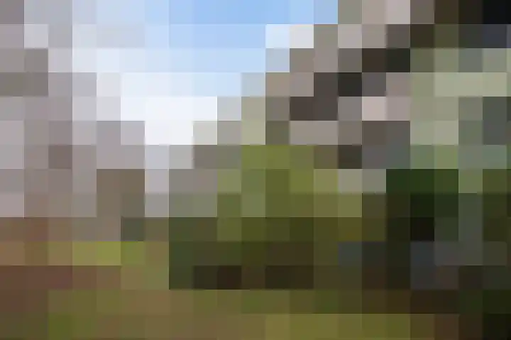 Cohenlaan 29 Utrecht thumbnail 19
