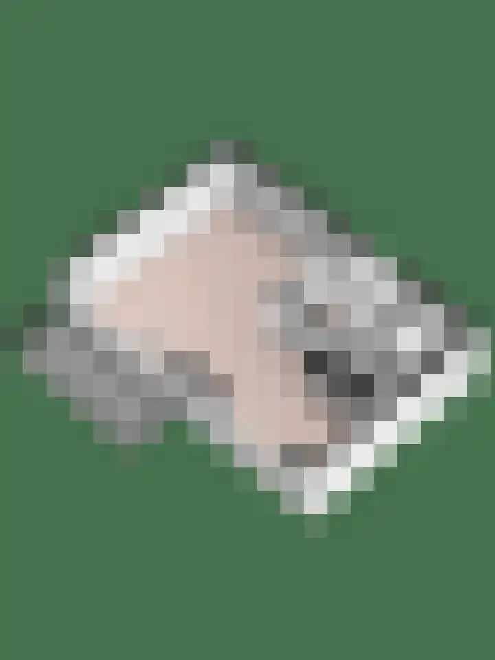 Cohenlaan 29 Utrecht thumbnail 24