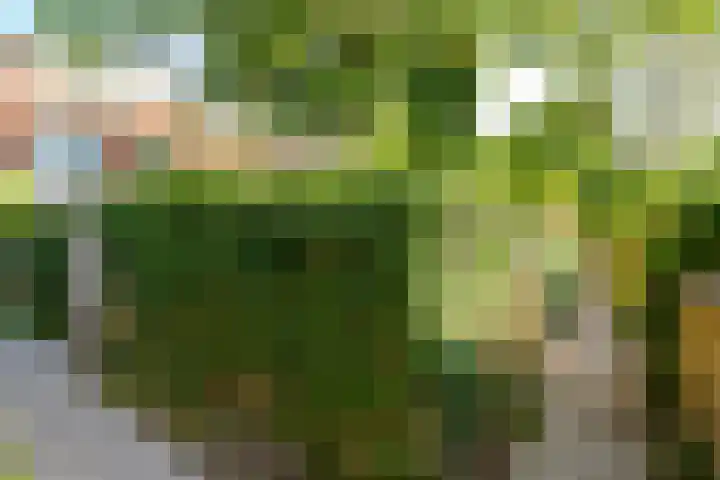 Colenbranderstraat 18 Leiden thumbnail 7