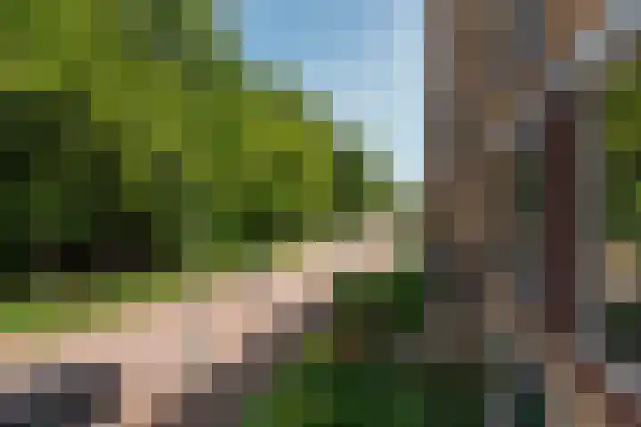Colenso 12 Soest thumbnail 10