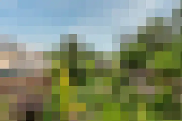 Colenso 12 Soest thumbnail 15