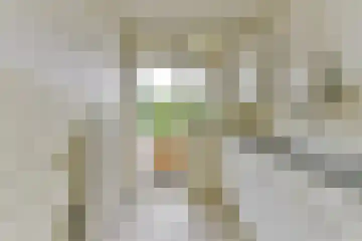 Colenso 12 Soest thumbnail 20