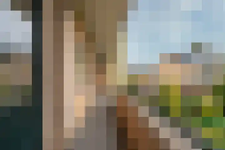 Colenso 12 Soest thumbnail 21