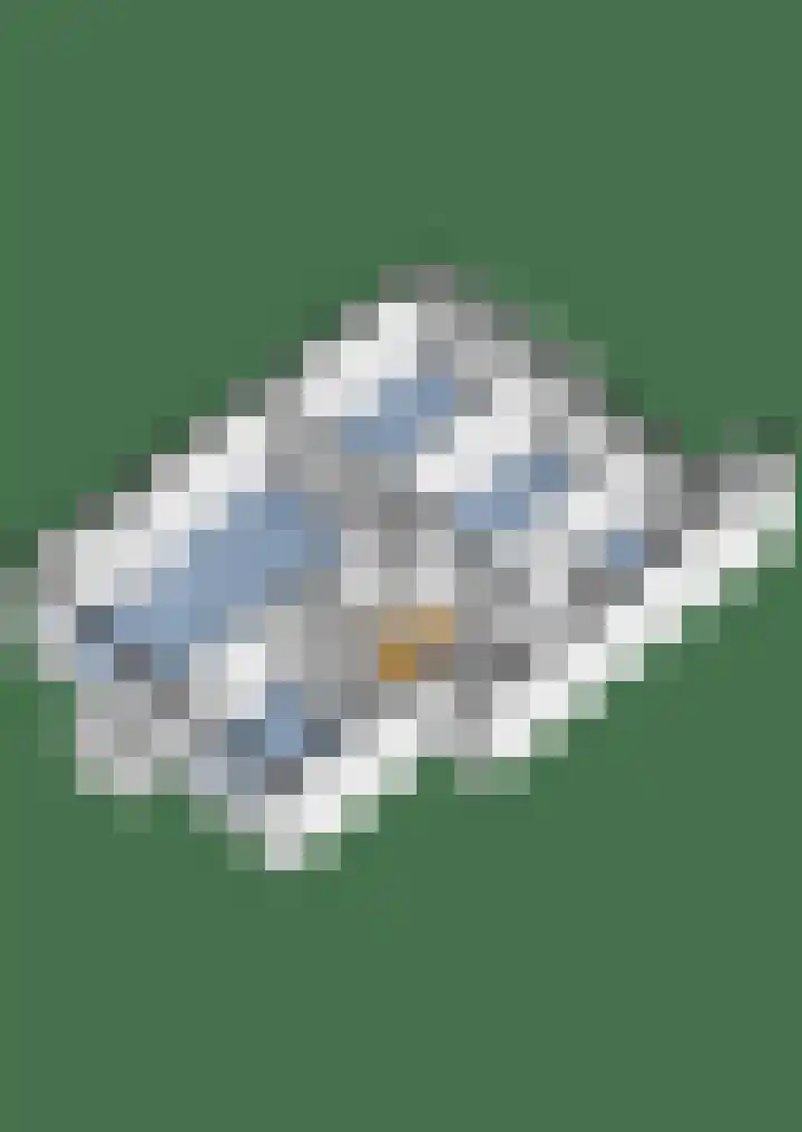 Colenso 12 Soest thumbnail 35
