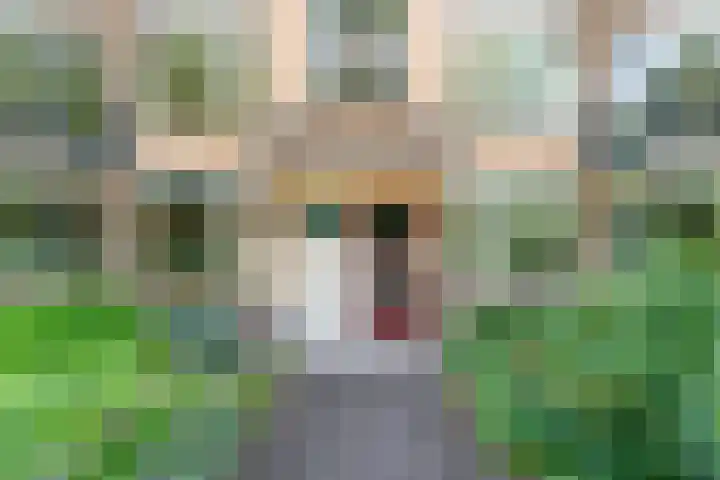 Colenso 12 Soest thumbnail 4