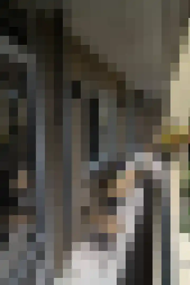 Colenso 141 Soest thumbnail 28