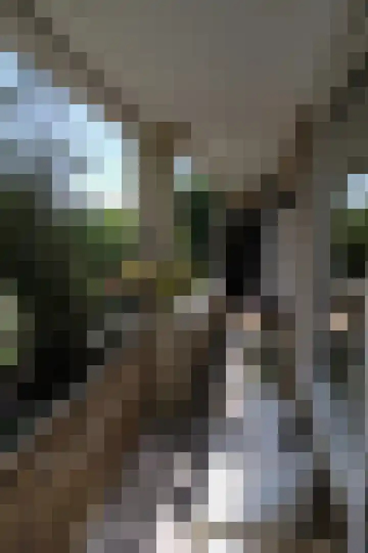 Colenso 141 Soest thumbnail 30