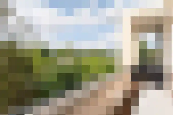 Colenso 142 Soest thumbnail 18