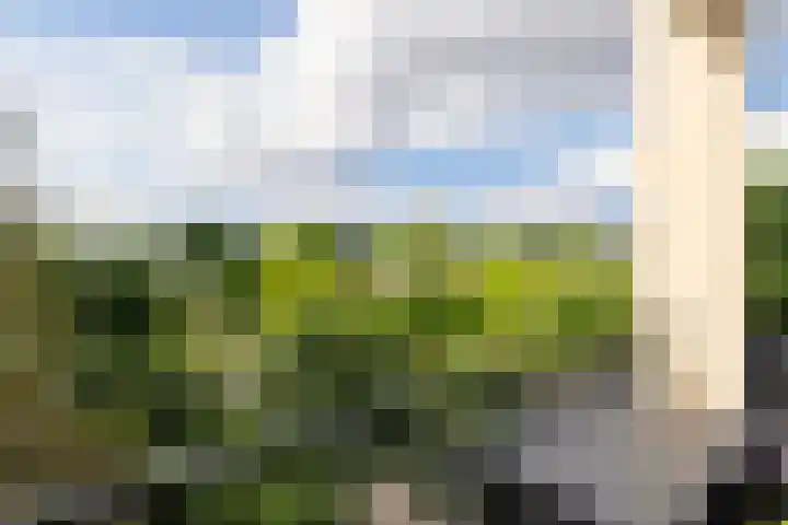 Colenso 142 Soest thumbnail 19