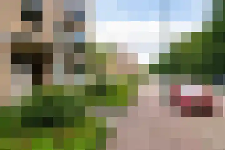 Colenso 142 Soest thumbnail 21