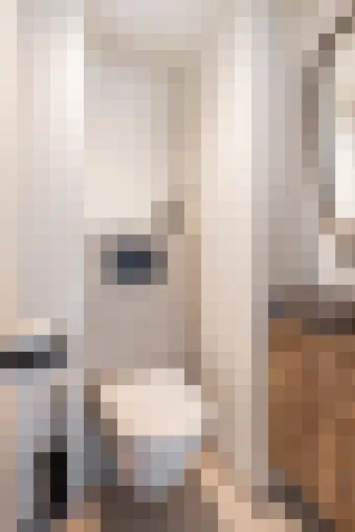 Colenso 20 Soest thumbnail 23