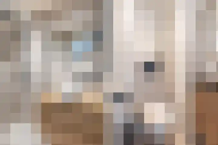 Colenso 20 Soest thumbnail 24