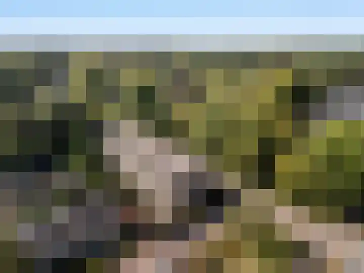 Colenso 20 Soest thumbnail 32