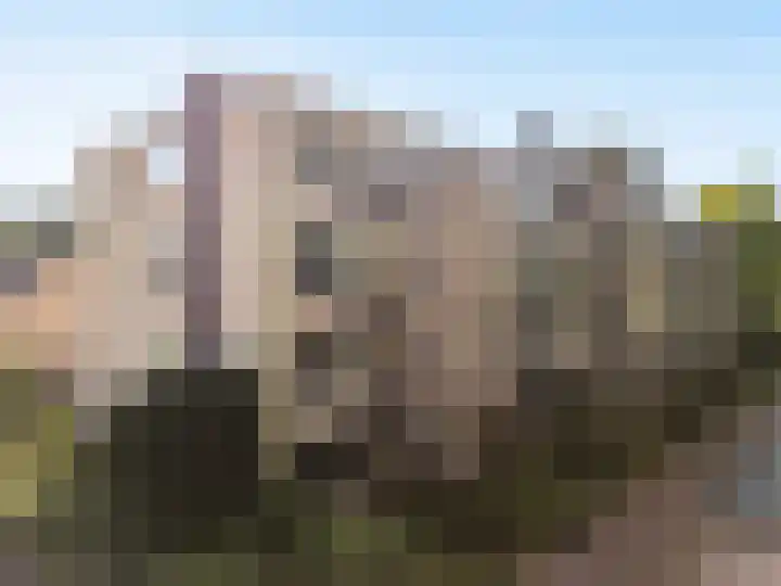 Colenso 20 Soest thumbnail 4