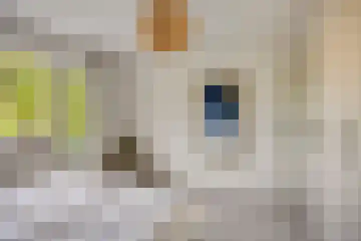 Colenso 30 Soest thumbnail 14