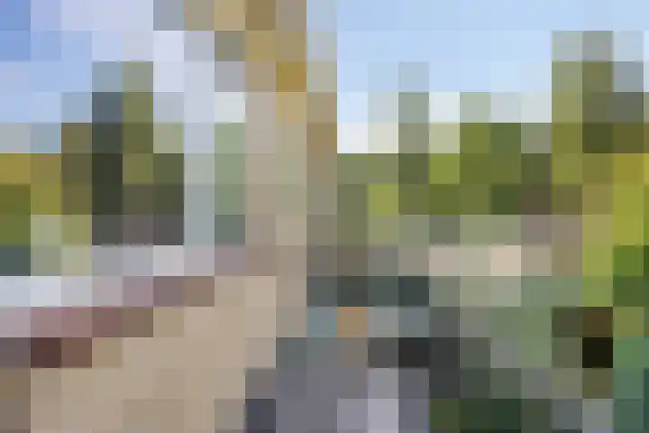 Colenso 30 Soest thumbnail 15
