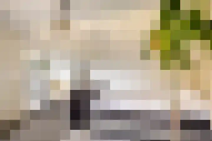 Colenso 30 Soest thumbnail 27