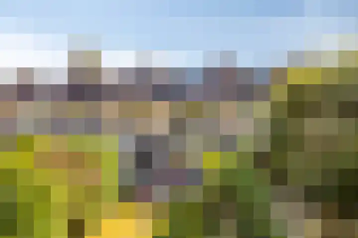 Colenso 30 Soest thumbnail 29
