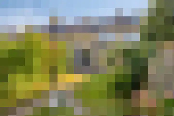 Colenso 30 Soest thumbnail 30