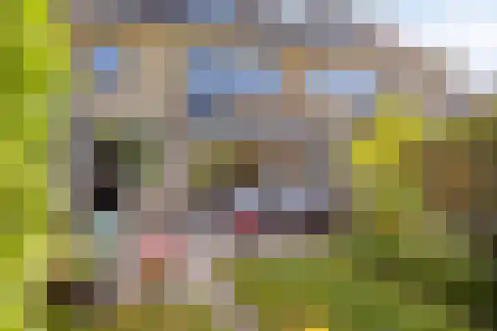Colenso 30 Soest thumbnail 31