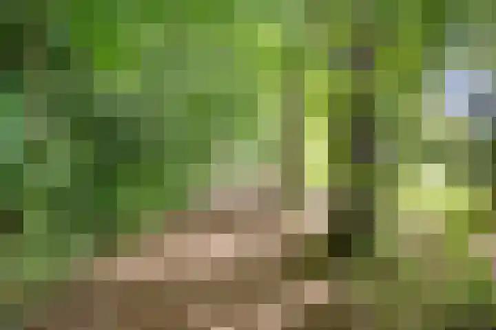 Colenso 30 Soest thumbnail 37