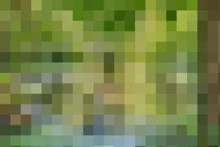 Colenso 30 Soest thumbnail 39
