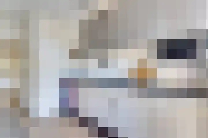 Colenso 64 Soest thumbnail 14