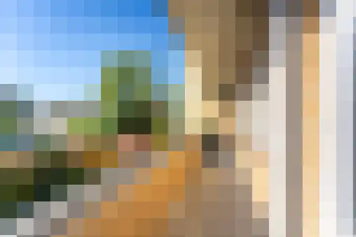 Colenso 64 Soest thumbnail 25